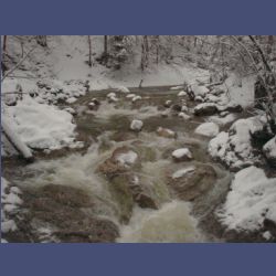 2013-02-02_Rappinschlucht_Lainlalm (034).jpg